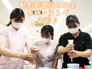 動物看護科のカラーリング実習♪